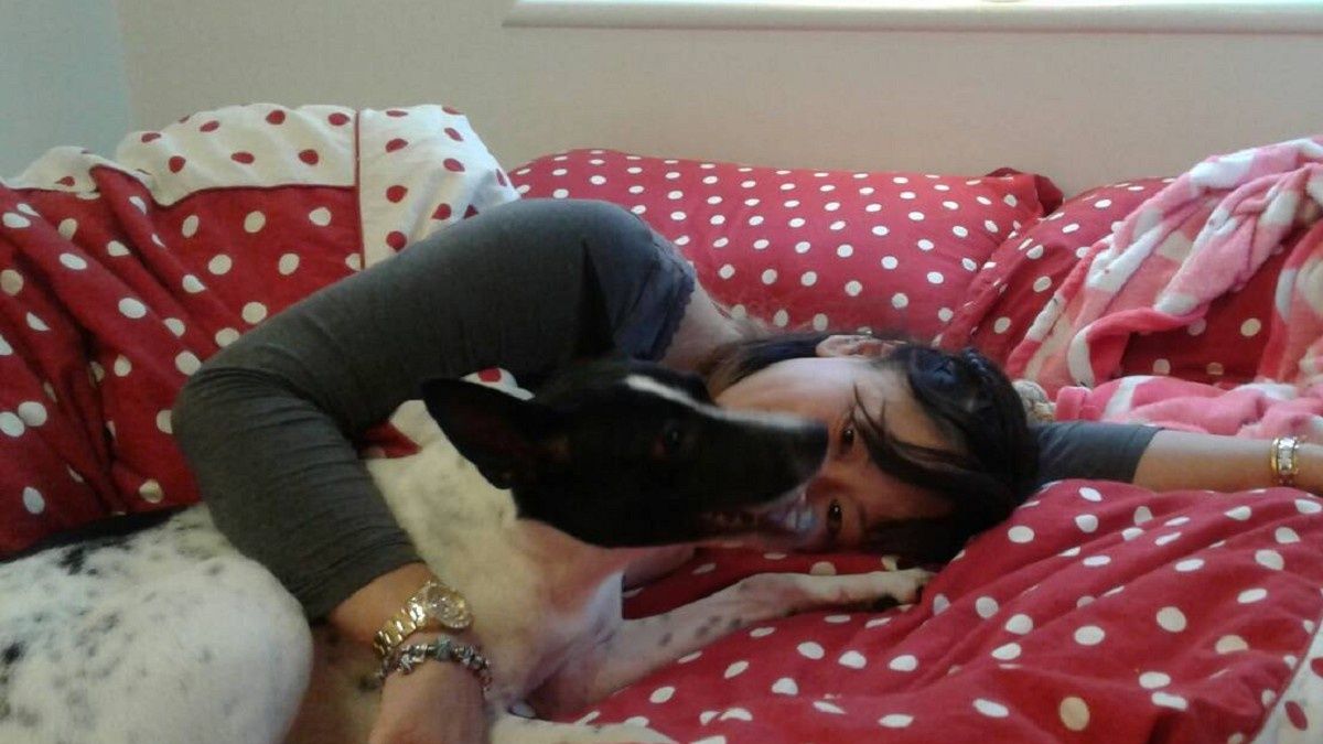 鼓勵認養代替購買 許毛寶貝有個溫暖家庭 鼓勵認養代替購買 許毛寶貝有個溫暖家庭