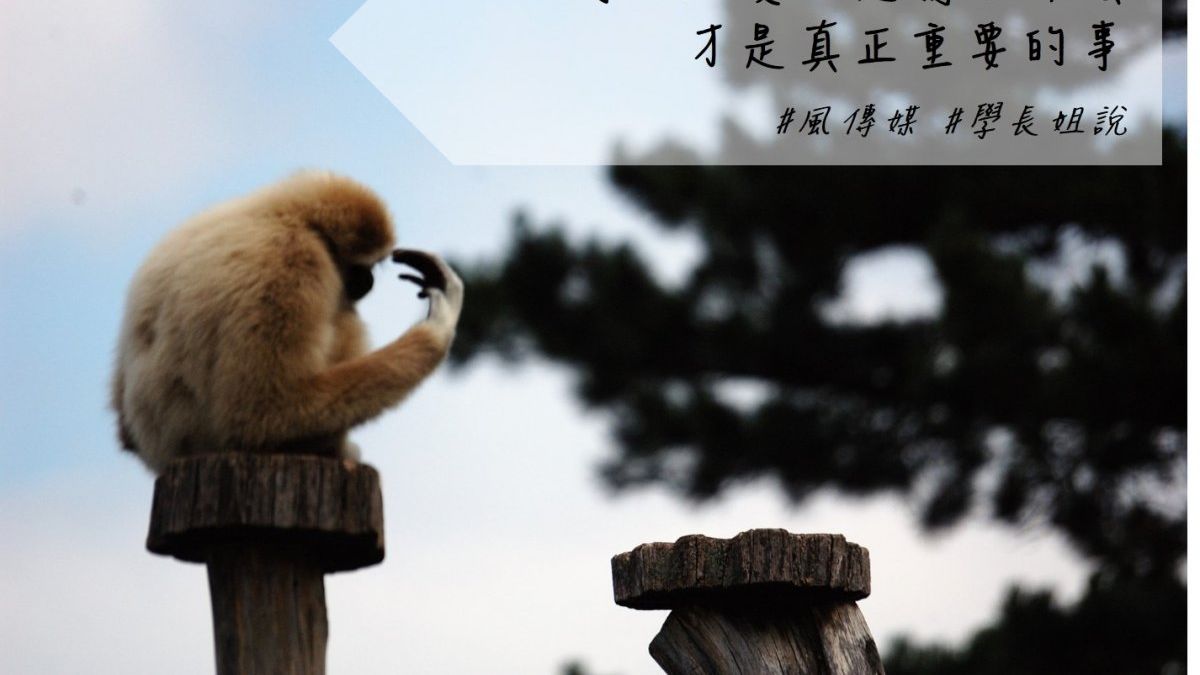 (圖/Laszlo Nagy Hu@flickr) (圖/Laszlo Nagy Hu@flickr)