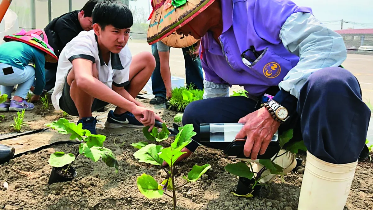 透過農事課程,長輩們除了可以傳承農務經驗知識,學生們也能有不同生活體驗。(圖/台中市政府提供)