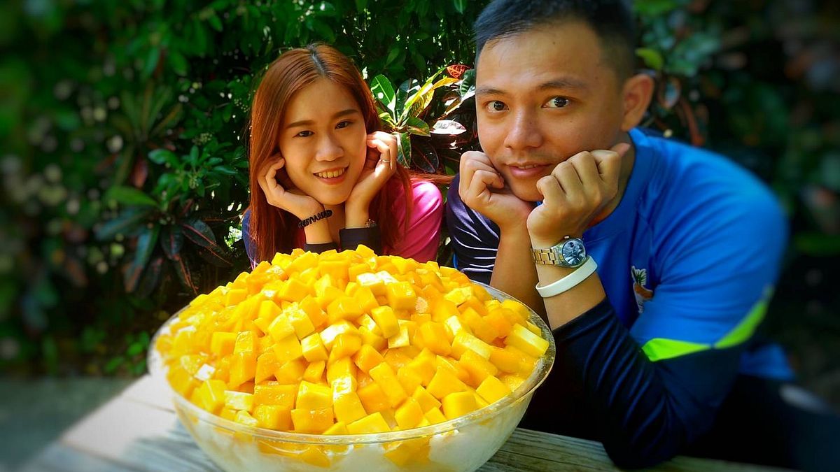 高雄一日農夫帶著芒果饕客,在田間大啖香甜多汁的金煌。(圖/徐炳文攝) 高雄一日農夫帶著芒果饕客,在田間大啖香甜多汁的金煌。(圖/徐炳文攝)