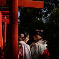 和服を着た日本の若い女性が神社を参拝している。(写真/AP通信提供) 和服を着た日本の若い女性が神社を参拝している。(写真/AP通信提供)