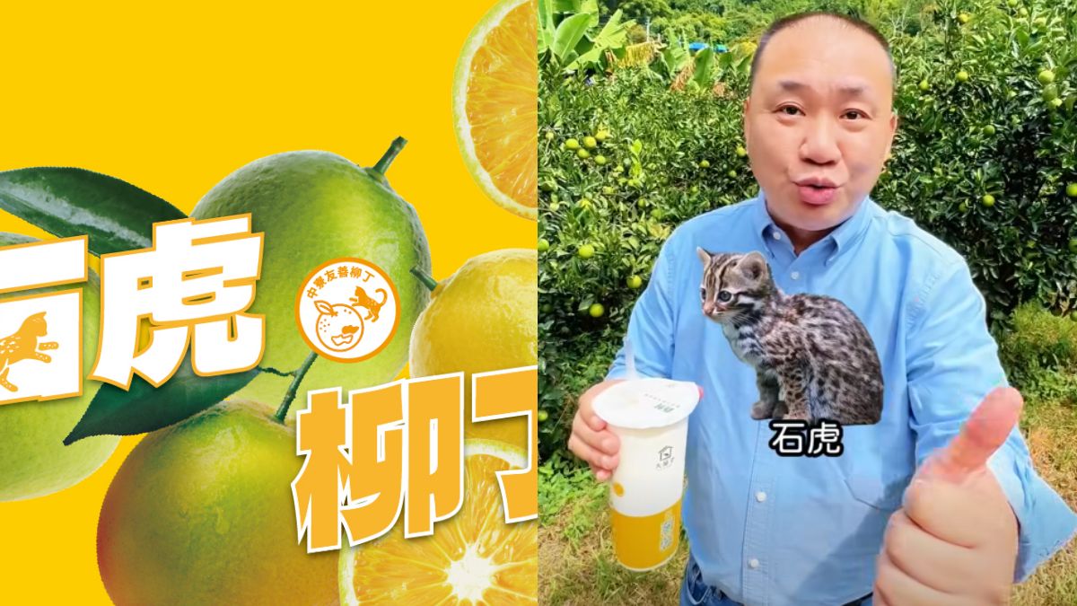 大苑子搶註石虎柳丁商標!議員嘆「十年制度恐毀於一旦」 若申請通過農民恐無法使用名稱