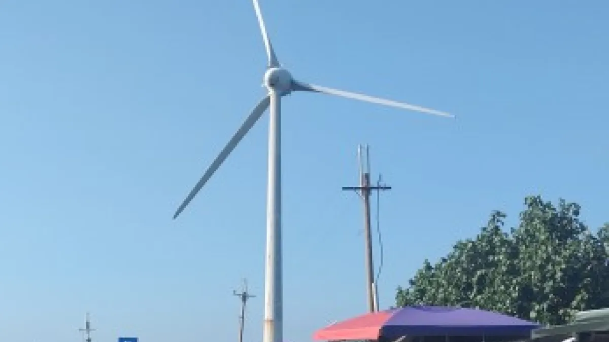 陸域風機侵入民眾生活,噪音、眩影干擾之外,還危害公共安全與生態。(圖/作者提供)