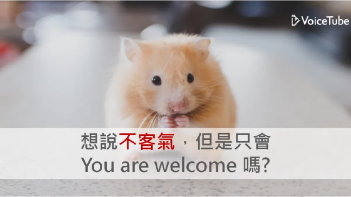 不客氣的用法有這麼多,你還是只會You're welcome嗎?(圖/VoiceTube)