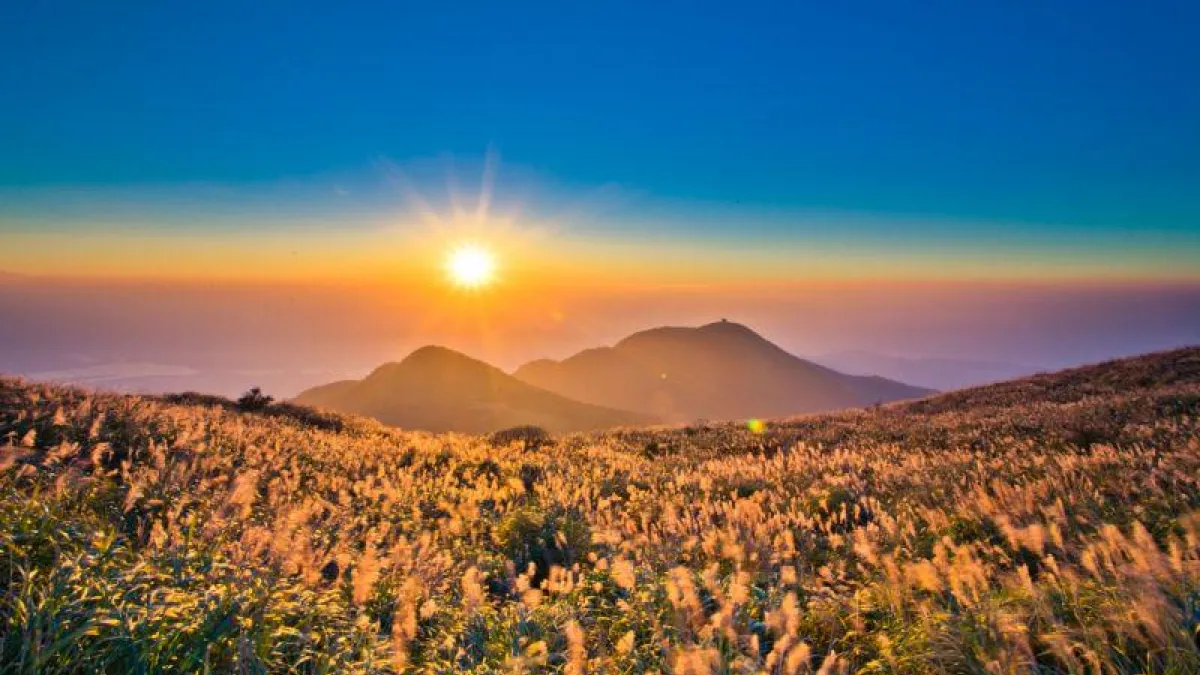 陽明山除了擎天崗,還有很多步道可以走!假日想來場輕旅行嗎?快看看這8條健行步道。(圖/IG@hamycat提供)