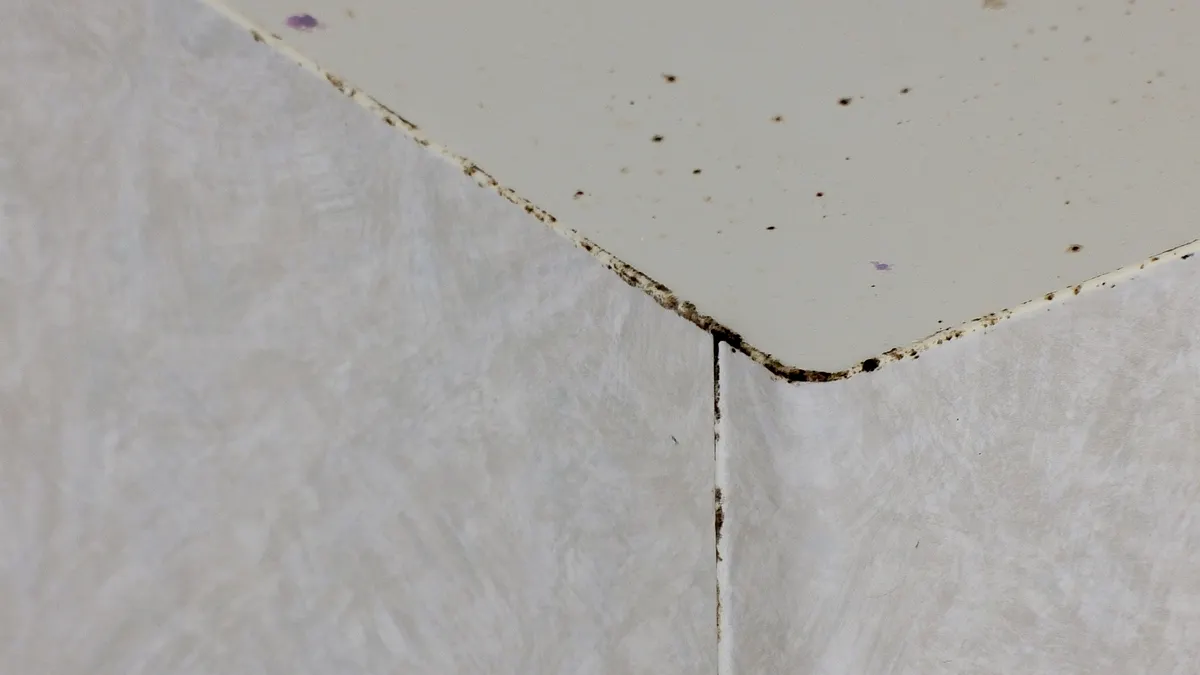 廚房廁所環境潮濕易起霉斑,其實只要用幾個隨手可得的便宜好物就能徹底清除!(示意圖/取自photo-ac) 廚房廁所環境潮濕易起霉斑,其實只要用幾個隨手可得的便宜好物就能徹底清除!(示意圖/取自photo-ac)