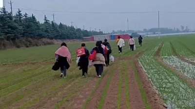 鄭州富士康爆出疫情,大批員工徒步逃離廠區(圖片來源:微信公眾號《Mr王的饭后茶》)