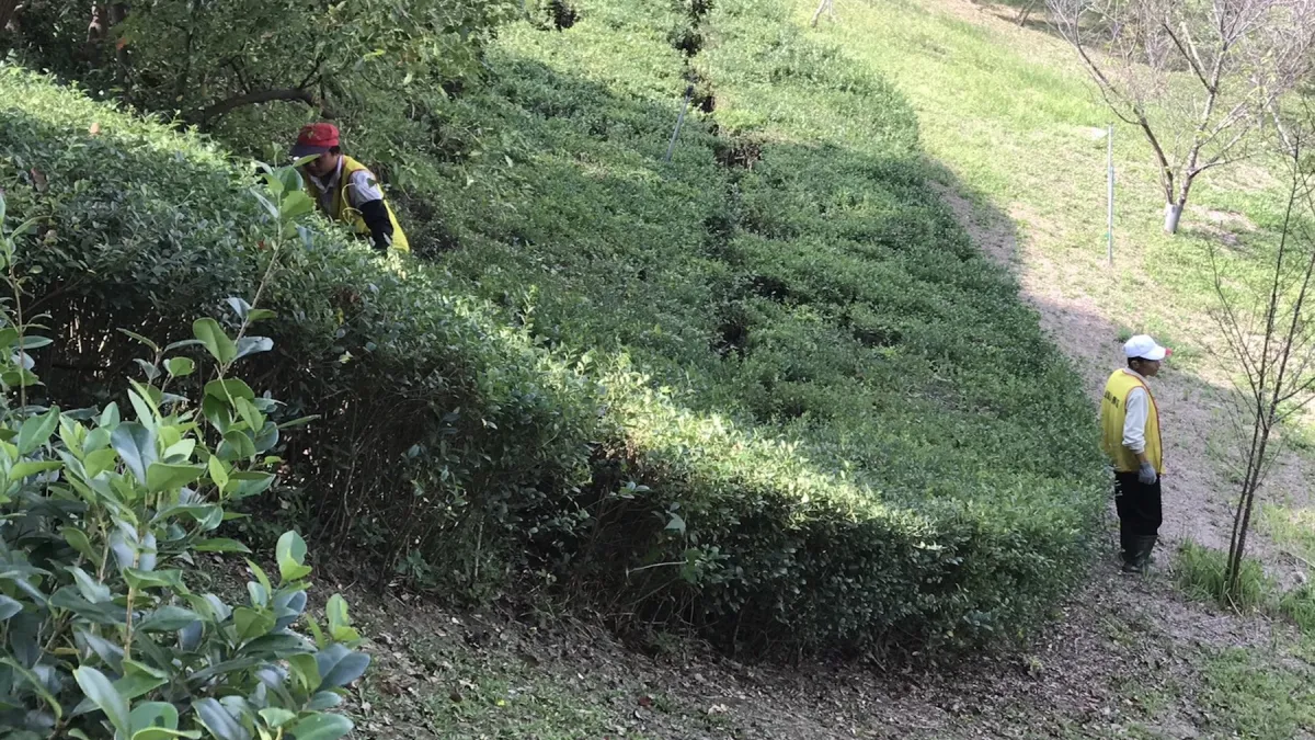尋找八田與一銅像頭部 烏山頭水庫人員地毯式搜尋