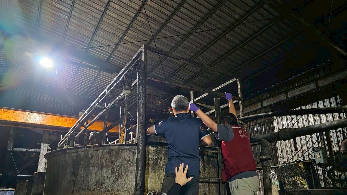 觀點投書:非洲豬瘟爆發,凸顯校園廚餘處理的困境