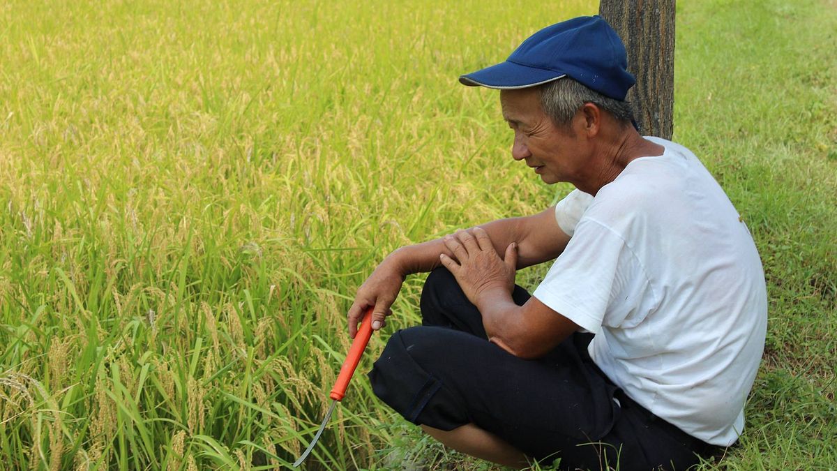 記者會上,灣寶女農洪箱表示,大家都說農民是「看天吃飯」,但是自己經過兩次、長達十多年的反徵收抗爭之後,反而覺得都是政府做的事在影響農民耕作。(取自台灣農民陣線網站) 記者會上,灣寶女農洪箱表示,大家都說農民是「看天吃飯」,但是自己經過兩次、長達十多年的反徵收抗爭之後,反而覺得都是政府做的事在影響農民耕作。(取自台灣農民陣線網站)