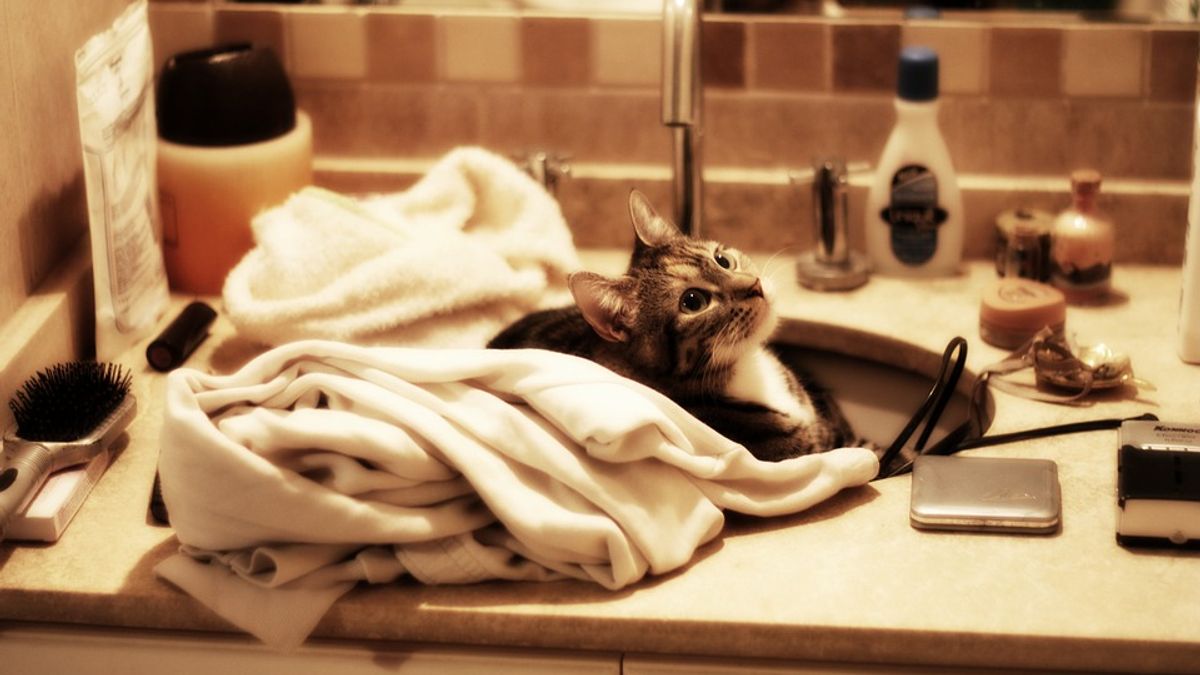 拚了命的保養肌膚卻總不見效?問題可能出在你家廁所……(圖/Alexis@Pixabay) 拚了命的保養肌膚卻總不見效?問題可能出在你家廁所……(圖/Alexis@Pixabay)