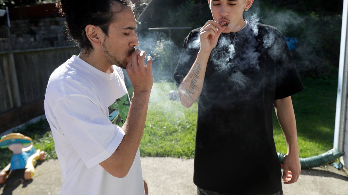 加拿大政府推出法案,要將娛樂用大麻合法化。(美聯社) 加拿大政府推出法案,要將娛樂用大麻合法化。(美聯社)