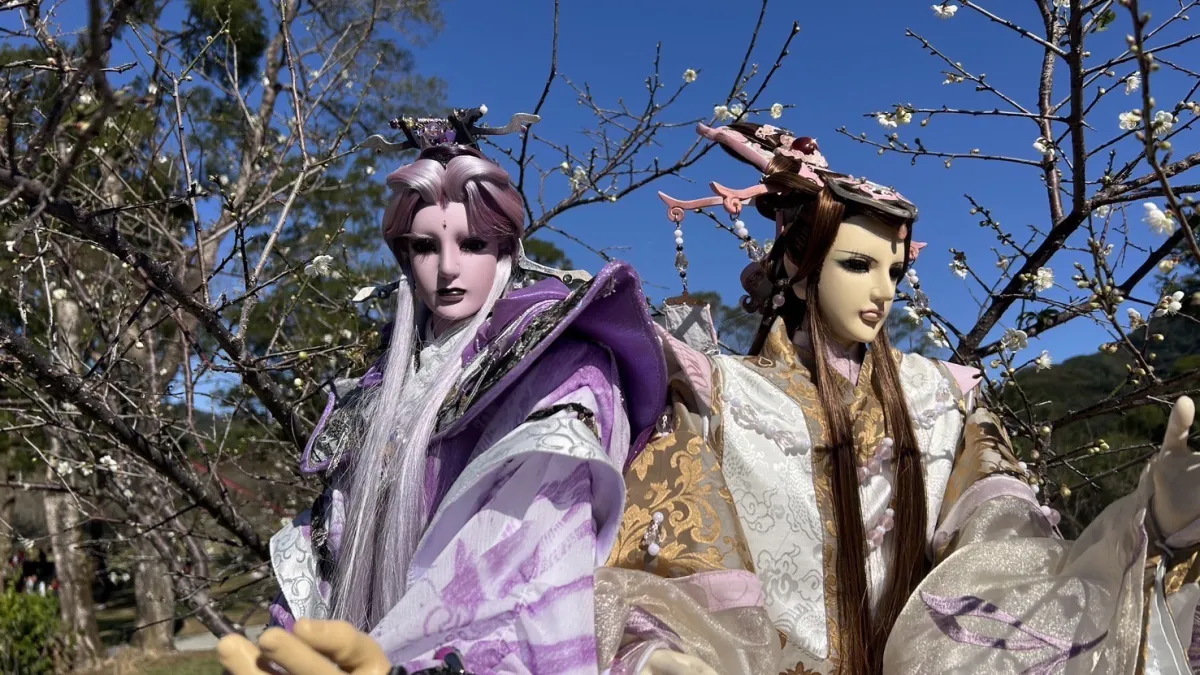 桃園角板山梅花季盛大開幕,結合霹靂布袋戲、龍鬚糖、捏麵人等傳統技藝,讓遊客感受濃濃的台灣味。(圖/桃園市政府觀旅局提供)