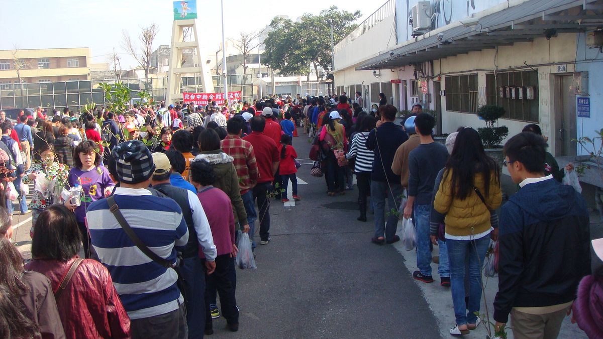 北臺中聯合贈苗活動 民眾索取踴躍大排長龍 北臺中聯合贈苗活動 民眾索取踴躍大排長龍