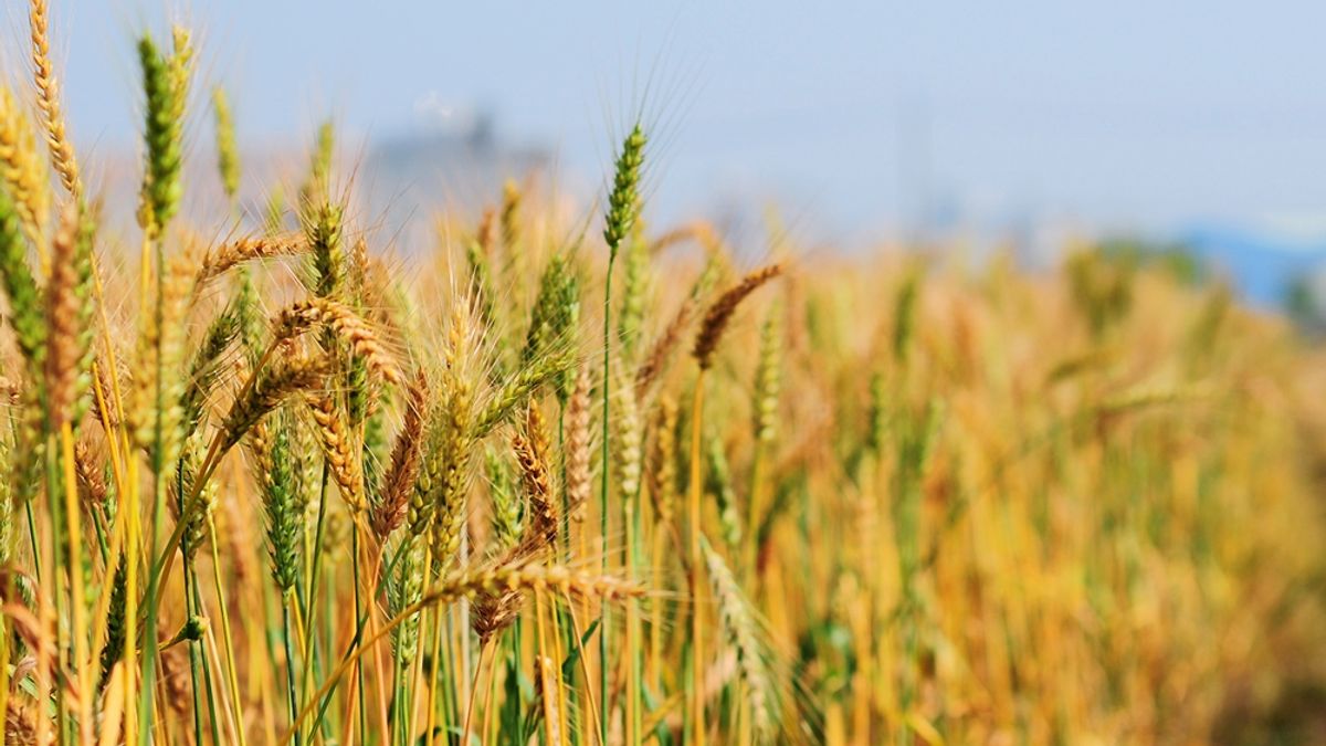 主動出擊吧!台灣!(圖/Buddy8d@flickr) 主動出擊吧!台灣!(圖/Buddy8d@flickr)