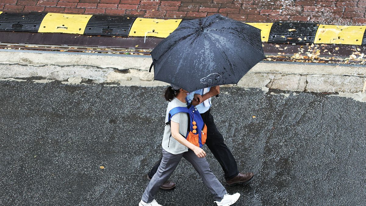 天氣預報》好天氣要沒了!下周明顯降溫轉雨「可能還有颱風生成」