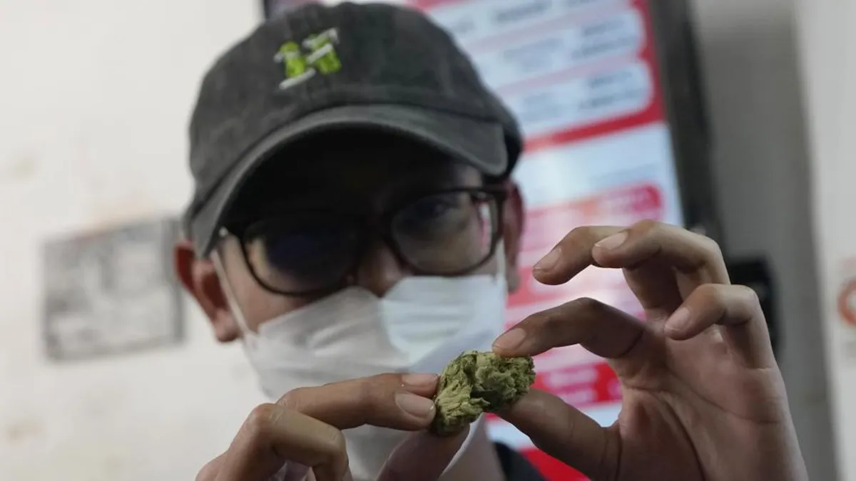 2022年6月9日,泰國曼谷「高地咖啡館」(Highland Café),顧客里提蓬展示大麻產品(美聯社) 2022年6月9日,泰國曼谷「高地咖啡館」(Highland Café),顧客里提蓬展示大麻產品(美聯社)