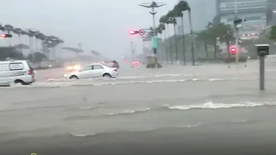 高雄夢時代購物中心附近,因豪雨導致路面淹水。(網友提供)
