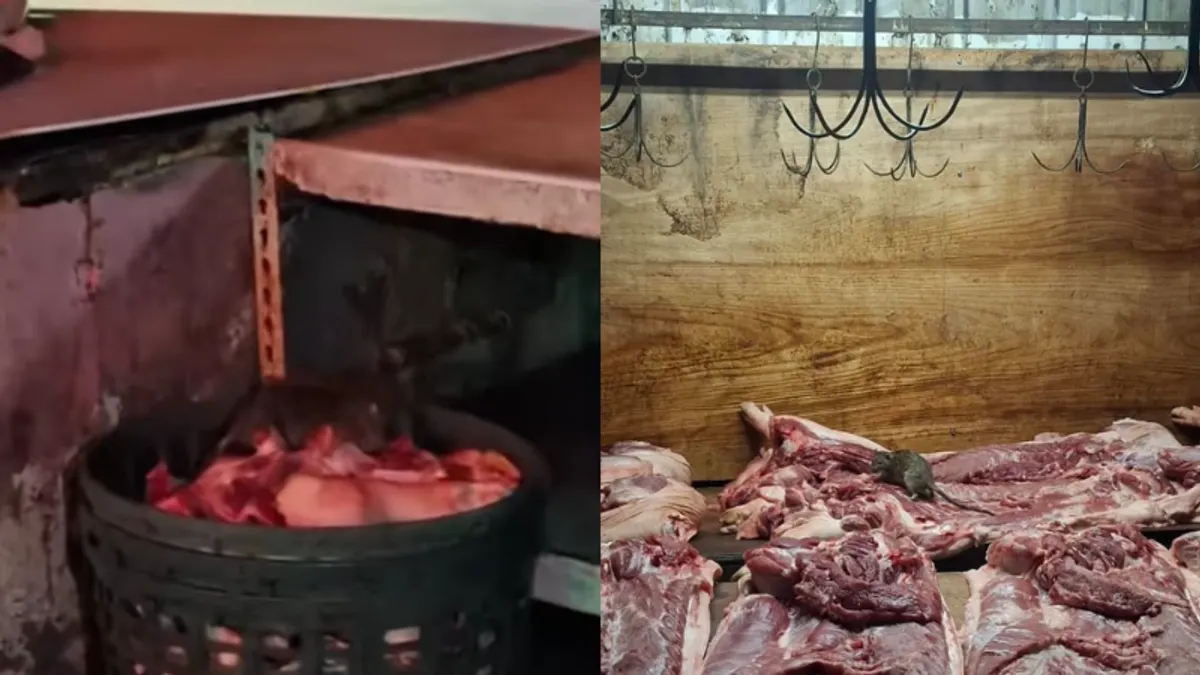 台南菜市場驚見老鼠大啃豬肉。(圖/翻攝自FB/匿名2公社) 台南菜市場驚見老鼠大啃豬肉。(圖/翻攝自FB/匿名2公社)