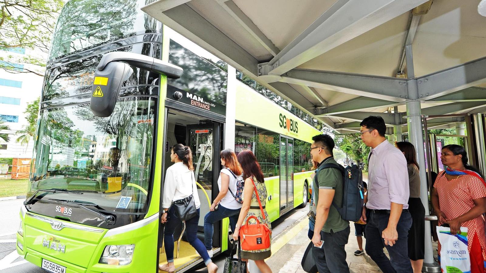 獅城旅遊要注意!新加坡公車新規上路,外放音樂、車上飲食將挨罰1.2萬