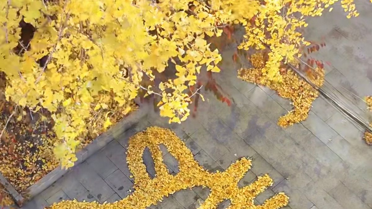 (翻攝小紅書) (翻攝小紅書)