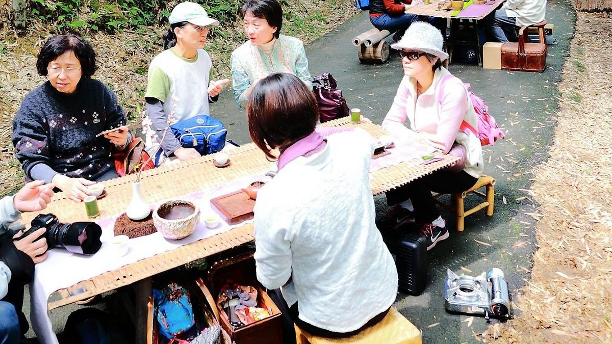 阿里山螢火蟲季4/1開跑 一起來翱遊螢色星海吧 阿里山螢火蟲季4/1開跑 一起來翱遊螢色星海吧