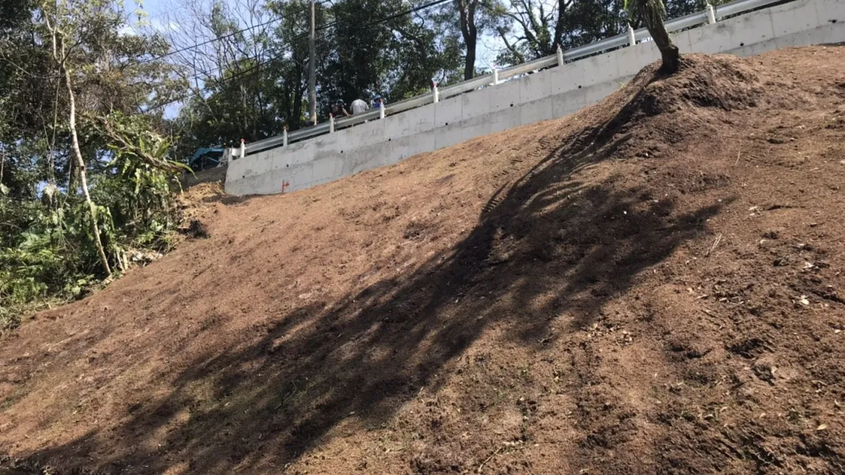 施工後邊坡植生完成圖。(圖/新北市農業局提供)