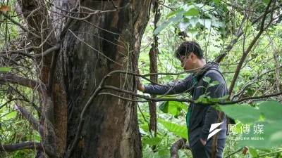 松菸公園催生聯盟召集人游藝在大巨蛋近松煙基地撫摸著移植致死的十餘歲的老樟樹,再一次憑弔,憶及為它舉行告別式,情不自禁痛哭。(陳明仁攝)
