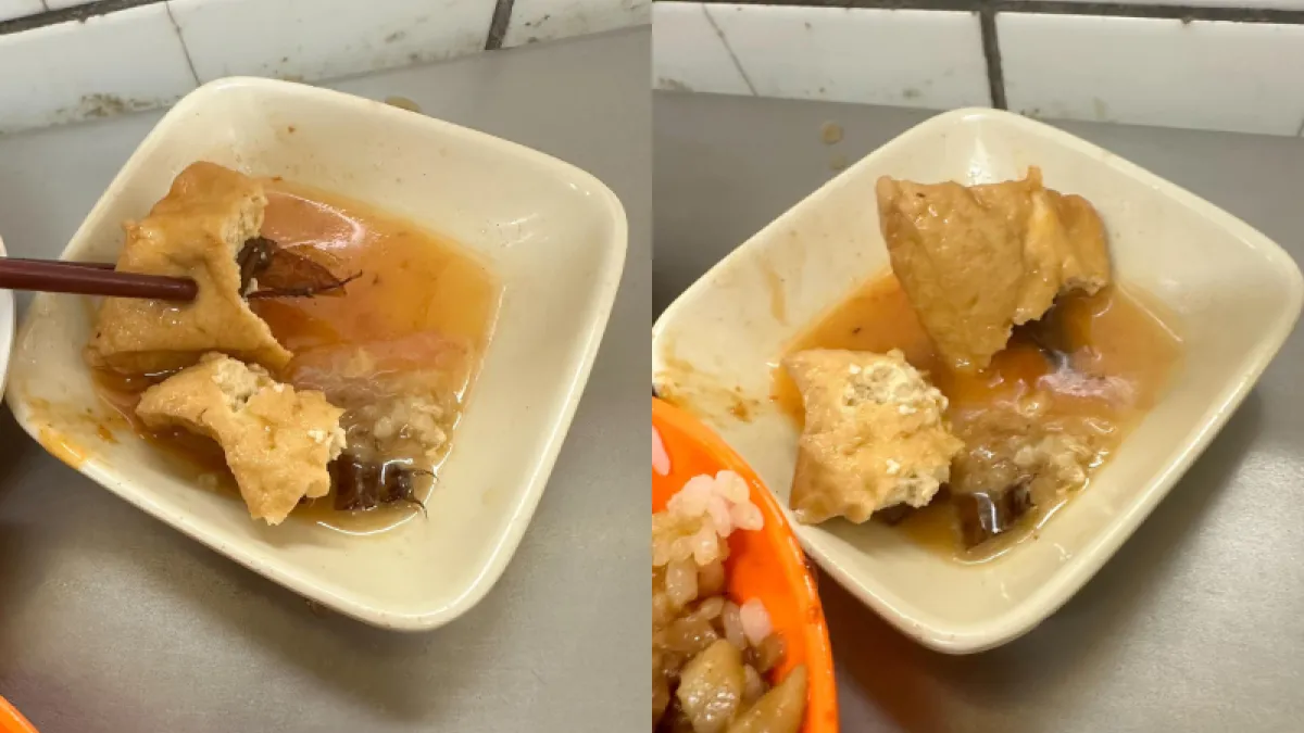 一名網友在網路上發文表示在基隆廟口夜市的「天一香」吃飯時竟吃到半隻蟑螂。(圖/翻攝自臉書)