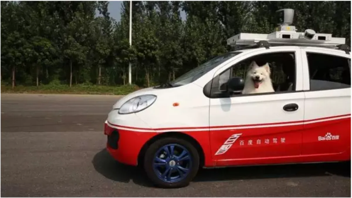 百度無人車出現在考照場駕駛是2隻狗(取自中國新浪科技網)