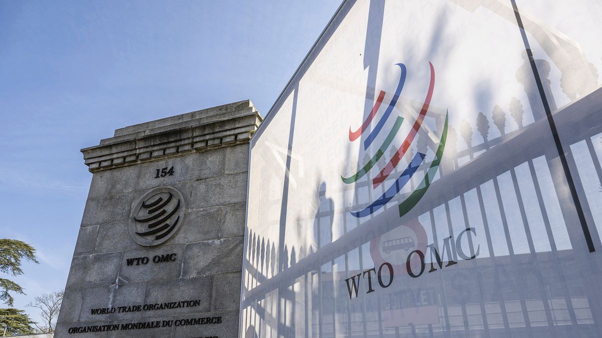 劉大年觀點:建構因應參與WTO風險之策略