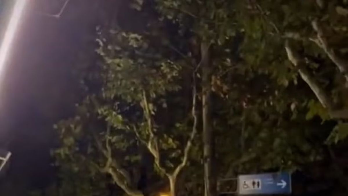 報導「白紙革命」遭上海警方逮捕!BBC:我們的記者被拳打腳踢。(圖/取自推特) 報導「白紙革命」遭上海警方逮捕!BBC:我們的記者被拳打腳踢。(圖/取自推特)