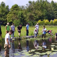 發展農業,不能只靠政府補貼。(圖片發自新北市政府農業局) 發展農業,不能只靠政府補貼。(圖片發自新北市政府農業局)