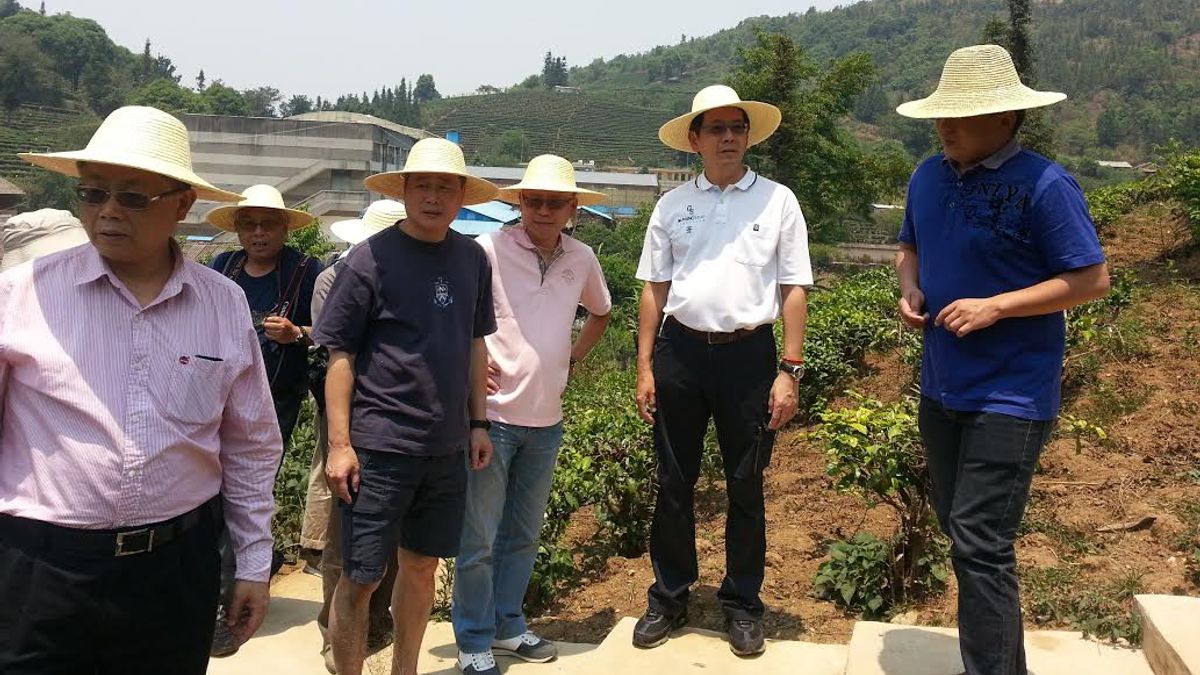 普洱茶的雋永深醇與高收藏價值,使得各政經大老為之著迷,攜手串辦了龍馬茶會。(圖/作者提供) 普洱茶的雋永深醇與高收藏價值,使得各政經大老為之著迷,攜手串辦了龍馬茶會。(圖/作者提供)