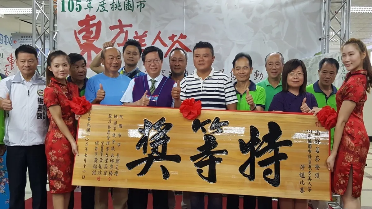 發展小而美的茶產業 桃園推廣東方美人茶