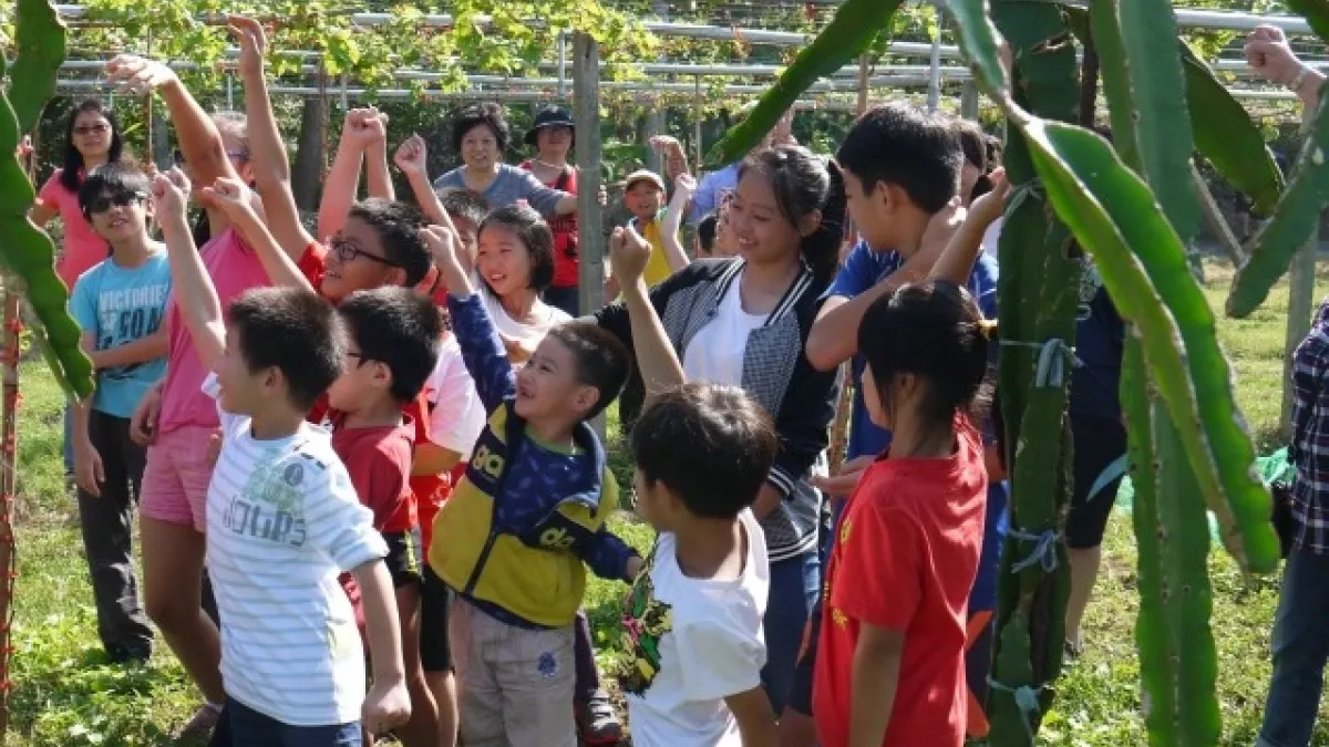 親子食農教育 學童紅龍果園體驗