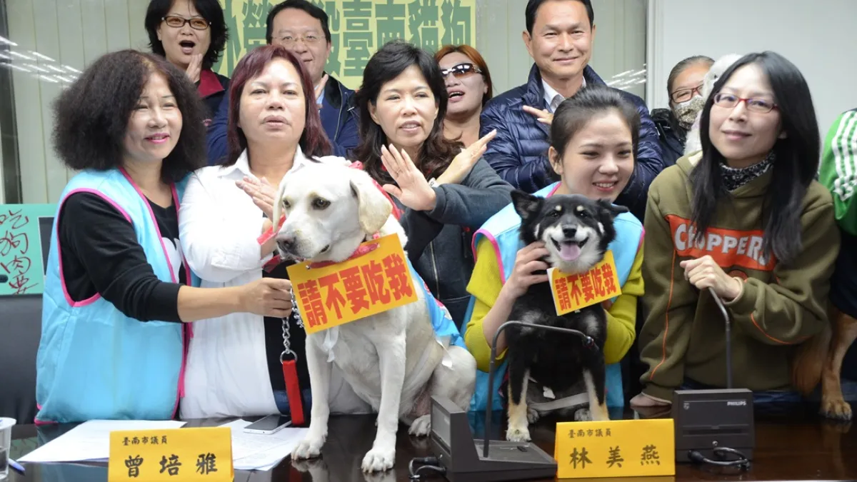 外勞殘殺台南犬貓 議員要求修訂自治條例