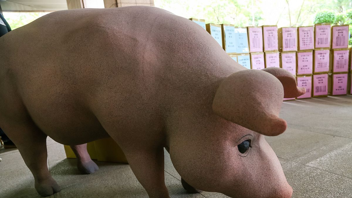 民進黨昨是今非,「一朝把權握,便把令來行」,立場出爾反爾。(資料照,顏麟宇攝) 民進黨昨是今非,「一朝把權握,便把令來行」,立場出爾反爾。(資料照,顏麟宇攝)