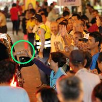 稱「得登革熱是血統純正高雄人」? 管碧玲失言挨批 稱「得登革熱是血統純正高雄人」? 管碧玲失言挨批