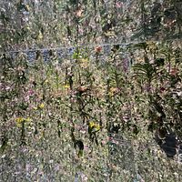 デジタルアート集団「チームラボ」が展開する体験型施設「teamLab Planets TOKYO」(東京都江東区豊洲)は、「身体ごとアートに没入する」という独自のコンセプトを掲げ、国内外から多くの来場者を集めている。(写真/黃信維) デジタルアート集団「チームラボ」が展開する体験型施設「teamLab Planets TOKYO」(東京都江東区豊洲)は、「身体ごとアートに没入する」という独自のコンセプトを掲げ、国内外から多くの来場者を集めている。(写真/黃信維)