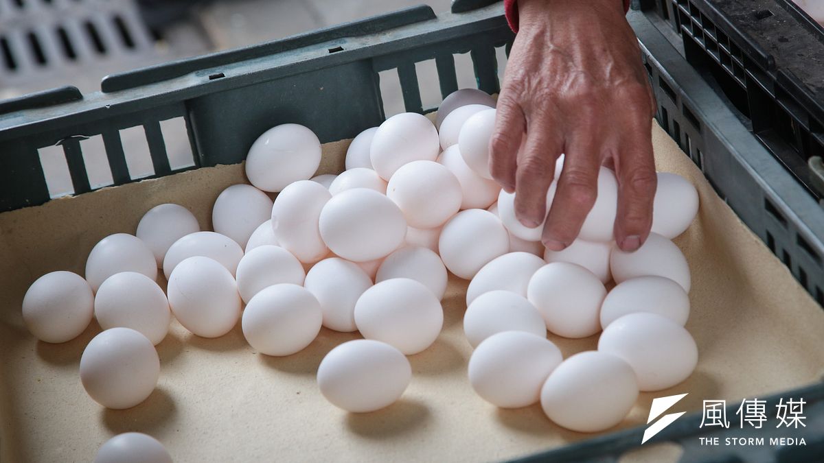 雞蛋。(資料照,顏麟宇攝) 雞蛋。(資料照,顏麟宇攝)