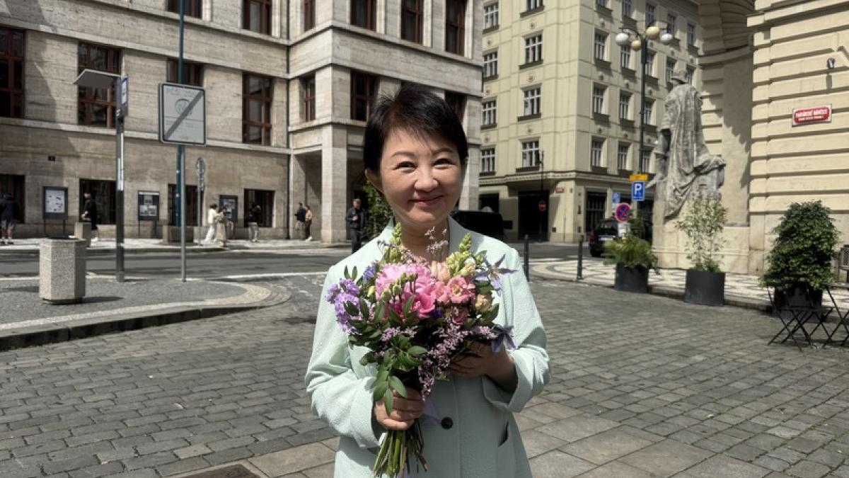 盧秀燕出訪挨批竟是「找人演民意」?江和樹爆:受訪者是綠營議員助理