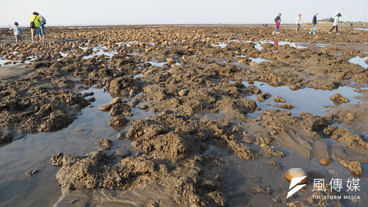 不少民眾擔心第三天然氣接收站將會破壞藻礁生態,國民黨前立委孫大千批評桃園市長鄭文燦,「當不成藻礁幫手,也不必成為藻礁殺手」。(柯承惠攝) 不少民眾擔心第三天然氣接收站將會破壞藻礁生態,國民黨前立委孫大千批評桃園市長鄭文燦,「當不成藻礁幫手,也不必成為藻礁殺手」。(柯承惠攝)