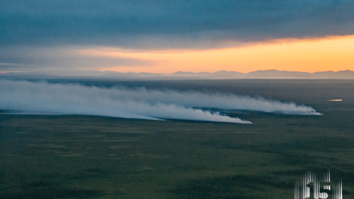 最新報告指出,北極圈的地貌與生態正以驚人高速轉變,冰雪大地可能即將消失。(The 2020 Arctic Record Card) 最新報告指出,北極圈的地貌與生態正以驚人高速轉變,冰雪大地可能即將消失。(The 2020 Arctic Record Card)
