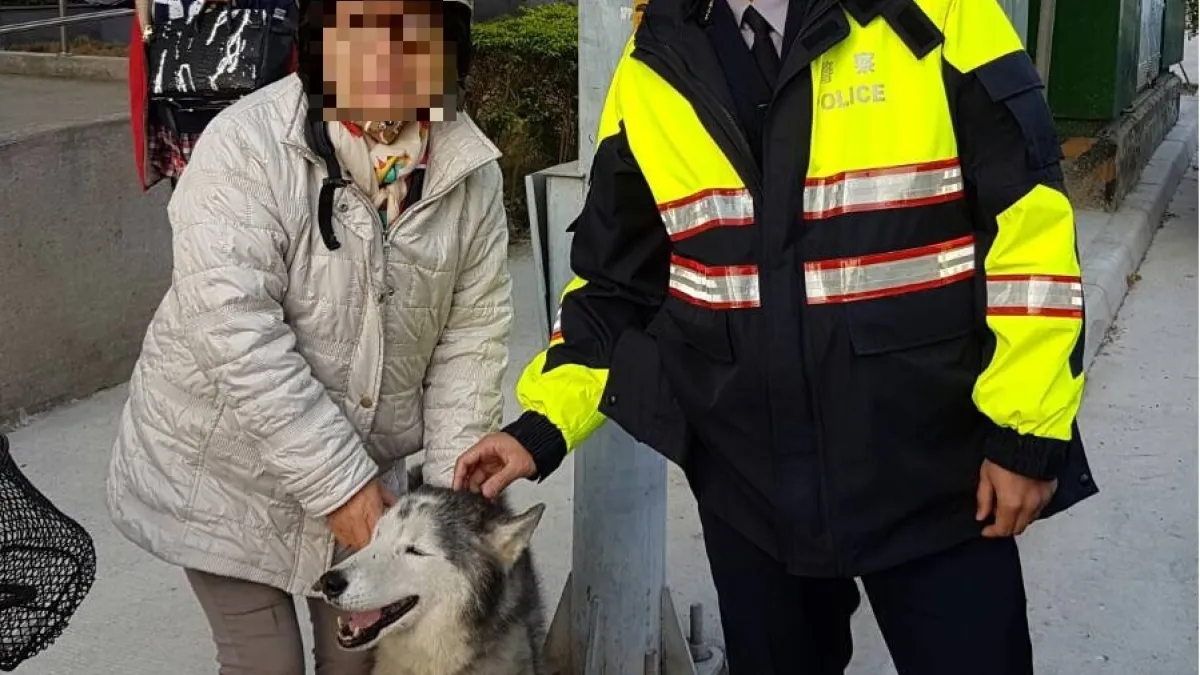 警助哈士奇返回飼主懷抱 重逢喜悅畫面超暖