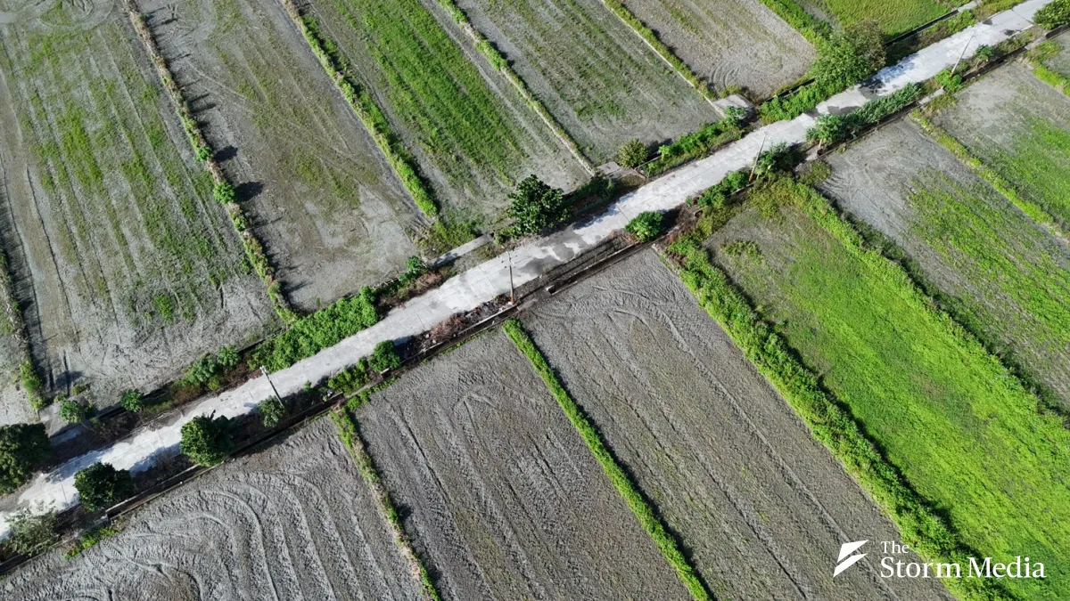 Farmland around Guangfu a year after the flood, where 770 hectares went under sediment and fewer than six have been guided into new crops. (Photo by Jay Fang)