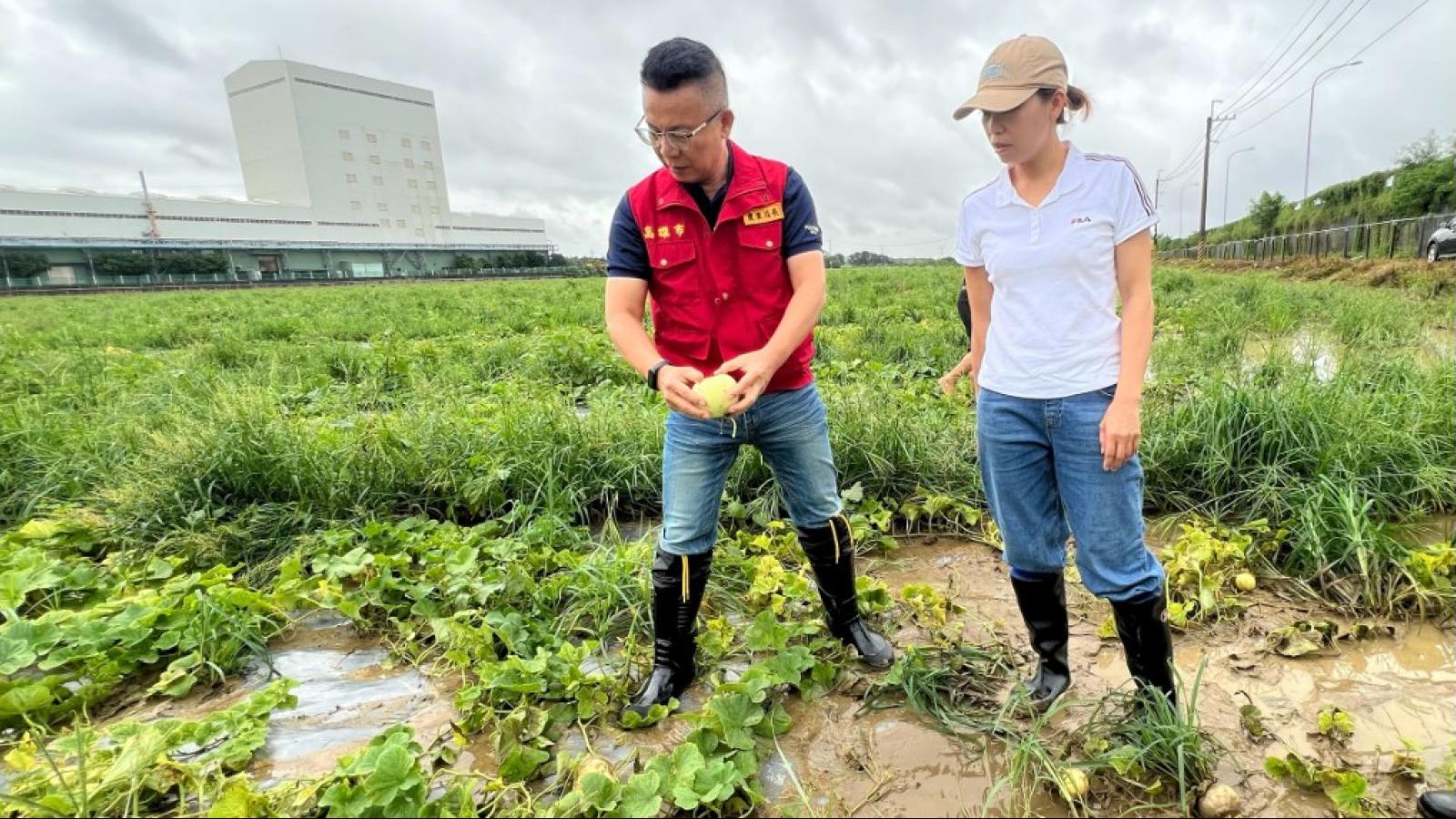 豪雨重創高雄農作!姚志旺籲農友儘速通報災損:全力爭取全品項救助