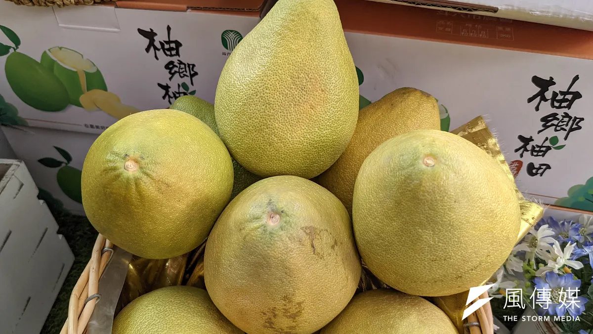 台灣文旦柚產季在8~9月,如何買到最好吃的文旦?農糧署傳授3秘訣。(資料照/顏麟宇攝) 台灣文旦柚產季在8~9月,如何買到最好吃的文旦?農糧署傳授3秘訣。(資料照/顏麟宇攝)