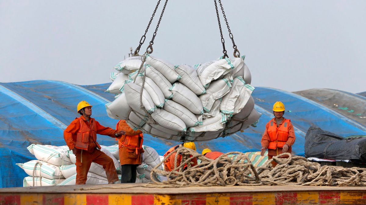 大豆成為中美貿易戰的焦點。(美聯社) 大豆成為中美貿易戰的焦點。(美聯社)