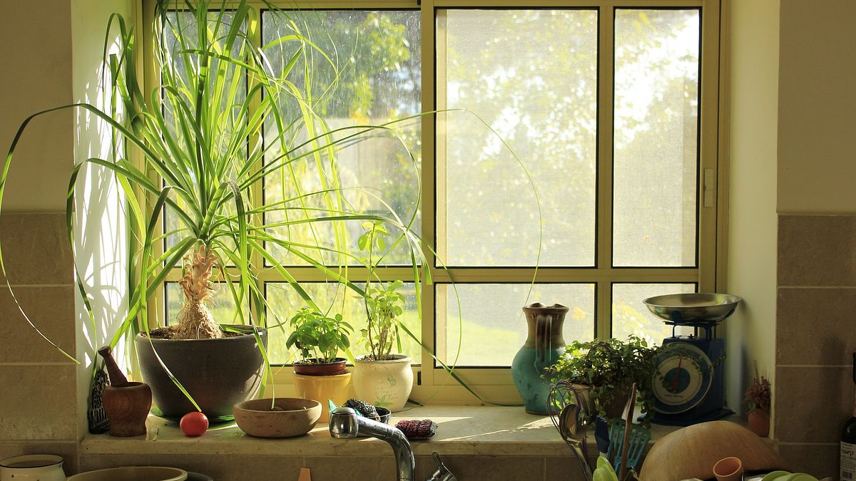 這些物品其實都是「錢」,如果不是我們花了錢,怎麼會有那麼多物品出現在家裡?(示意圖/ videaki@pixabay) 這些物品其實都是「錢」,如果不是我們花了錢,怎麼會有那麼多物品出現在家裡?(示意圖/ videaki@pixabay)